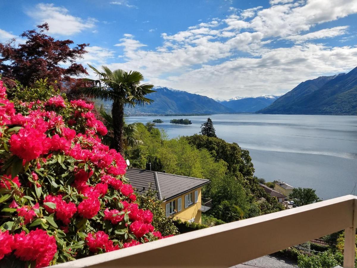 Garden Hotel Primavera Brissago Kültér fotó